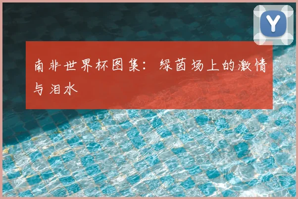 南非世界杯图集:绿茵场上的激情与泪水