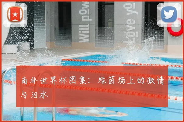 南非世界杯图集：绿茵场上的激情与泪水